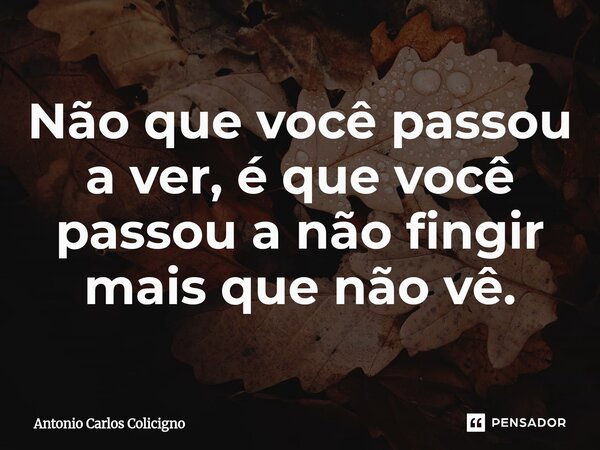 ⁠Não que você passou a ver, é que você passou a não fingir mais que não vê.... Frase de Antonio Carlos Colicigno.