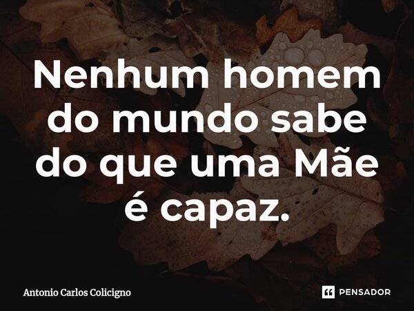 Nenhum homem do mundo sabe do que uma Mãe é capaz.... Frase de Antonio Carlos Colicigno.