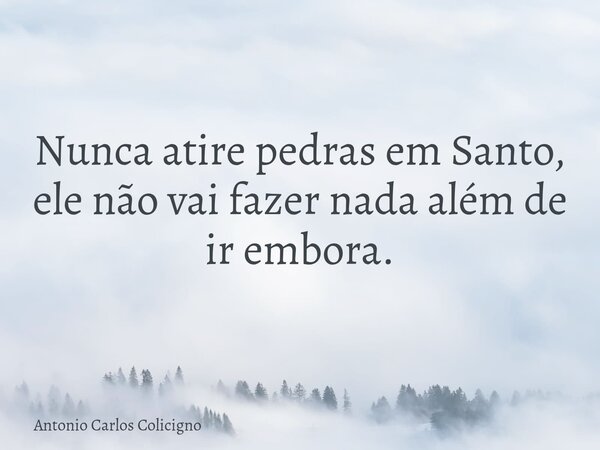 Nunca atire pedras em Santo, ele não vai fazer nada além de ir embora.... Frase de Antonio Carlos Colicigno.