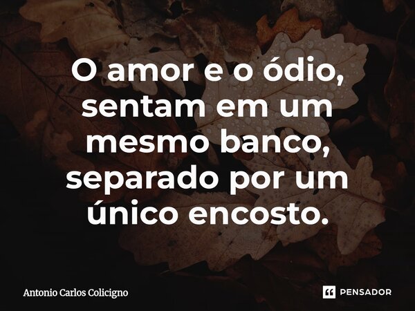 O amor e o ódio, sentam em um mesmo banco, separado por um único encosto.⁠... Frase de Antonio Carlos Colicigno.