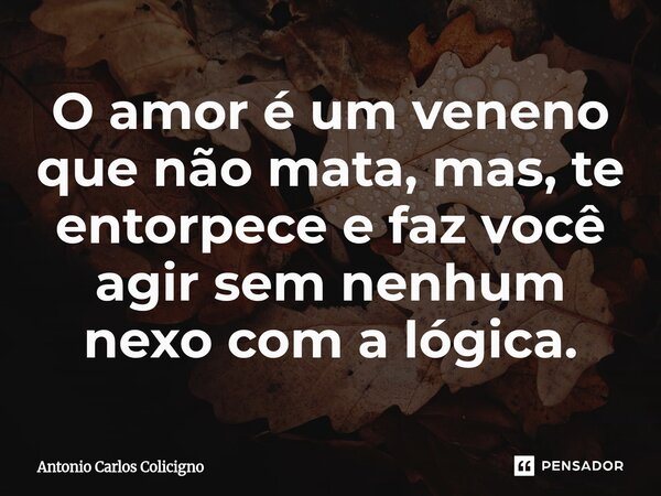 O amor é um veneno que não mata, mas, te entorpece e faz você agir sem nenhum nexo com a lógica.⁠... Frase de Antonio Carlos Colicigno.