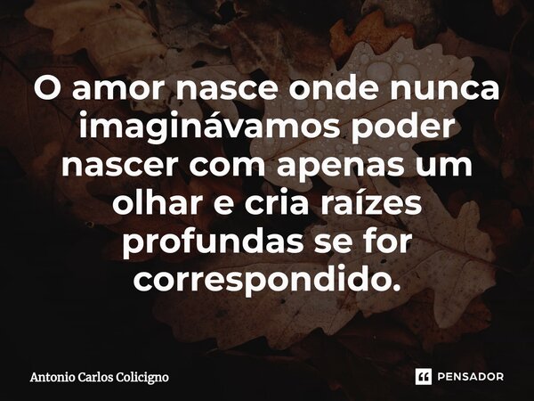 ⁠O amor nasce onde nunca imaginávamos poder nascer com apenas um olhar⁠ e cria raízes profundas se for correspondido.... Frase de Antonio Carlos Colicigno.