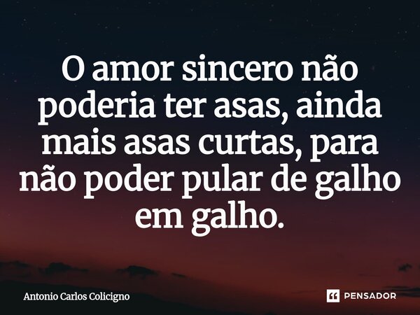 O amor sincero não poderia ter asas, ainda mais asas curtas, para não poder pular de galho em galho.⁠... Frase de Antonio Carlos Colicigno.