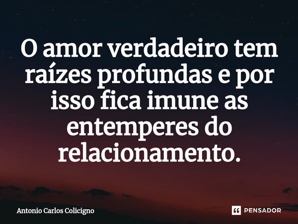 ⁠O amor verdadeiro tem raízes profundas e por isso fica imune as entemperes do relacionamento.... Frase de Antonio Carlos Colicigno.