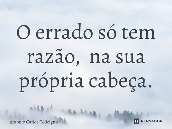 O errado só tem razão, na sua própria cabeça.⁠... Frase de Antonio Carlos Colicigno.