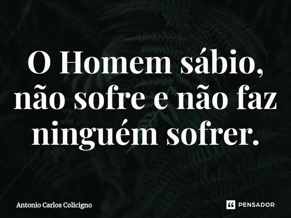 ⁠O Homem sábio, não sofre e não faz ninguém sofrer.... Frase de Antonio Carlos Colicigno.