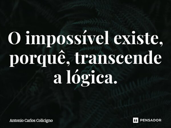 ⁠O impossível existe, porquê, transcende a lógica.... Frase de Antonio Carlos Colicigno.