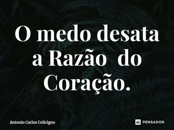 ⁠O medo desata a Razão do Coração.... Frase de Antonio Carlos Colicigno.