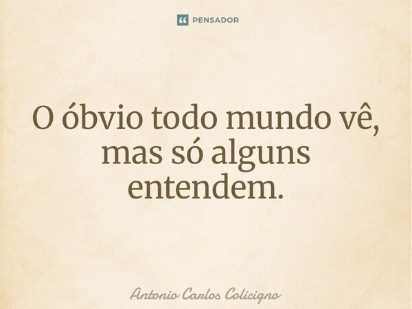 ⁠O óbvio todo mundo vê, mas só alguns entendem.... Frase de Antonio Carlos Colicigno.