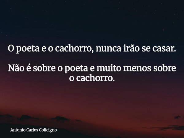 O poeta e o cachorro, nunca irão se casar. Não é sobre o poeta e muito menos sobre o cachorro.... Frase de Antonio Carlos Colicigno.