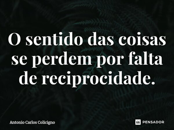 ⁠O sentido das coisas se perdem por falta de reciprocidade.... Frase de Antonio Carlos Colicigno.