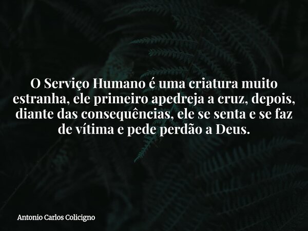 O Serviço Humano é uma criatura muito estranha, ele primeiro apedreja a cruz, depois, diante das consequências, ele se senta e se faz de vítima e pede perdão a ... Frase de Antonio Carlos Colicigno.