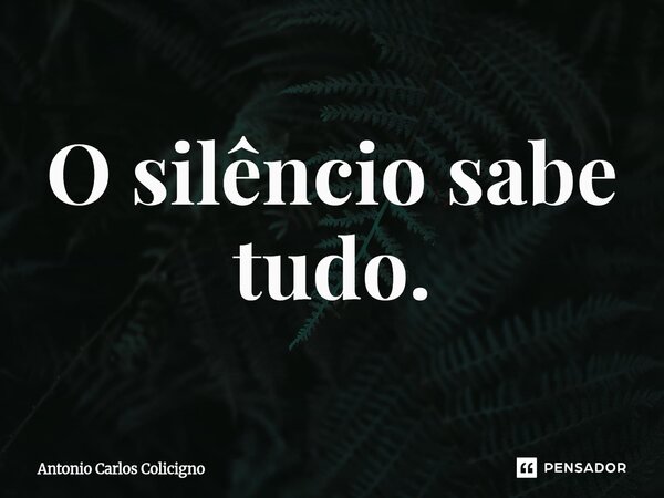 ⁠O silêncio sabe tudo.... Frase de Antonio Carlos Colicigno.