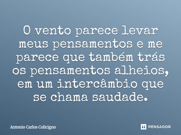 ⁠O vento parece levar meus pensamentos e me parece que também trás os pensamentos alheios, em um intercâmbio que se chama saudade.... Frase de Antonio Carlos Colicigno.