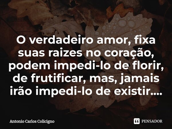 O verdadeiro amor, fixa suas raizes no coração⁠, podem impedi-lo de florir, de frutificar, mas, jamais irão impedi-lo de existir....... Frase de Antonio Carlos Colicigno.