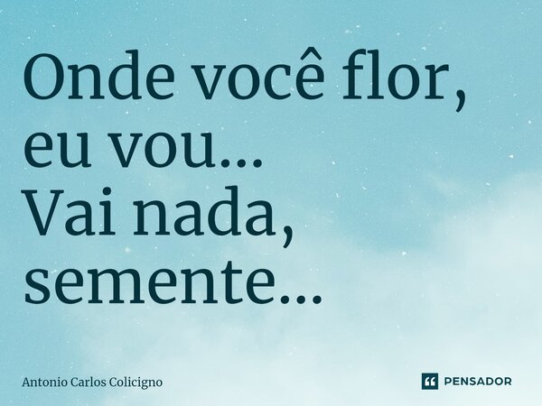 ⁠Onde você flor, eu vou... Vai nada, semente...... Frase de Antonio Carlos Colicigno.