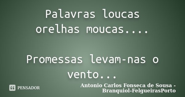 Palavras loucas orelhas moucas.... Promessas levam-nas o vento...... Frase de Antonio Carlos Fonseca de Sousa - Branquiol-FelgueirasPorto.