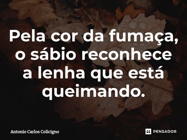 ⁠Pela cor da fumaça, o sábio reconhece a lenha que está queimando.... Frase de Antonio Carlos Colicigno.