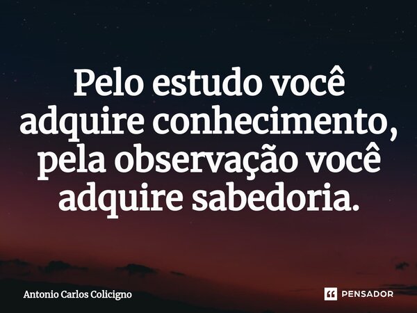 ⁠Pelo estudo você adquire conhecimento, pela observação você adquire sabedoria.... Frase de Antonio Carlos Colicigno.