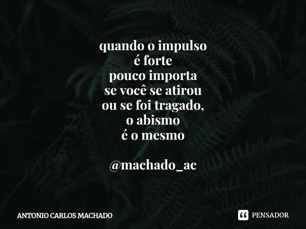 ⁠quando o impulso
é forte
pouco importa
se você se atirou
ou se foi tragado,
o abismo
é o mesmo @machado_ac... Frase de Antonio Carlos Machado.