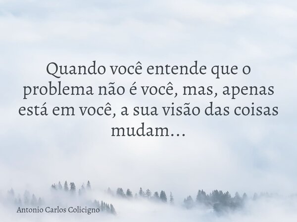 Quando você entende que o problema não é você, mas, apenas está em você, a sua visão das coisas mudam...... Frase de Antonio Carlos Colicigno.