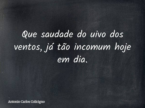 Que saudade do uivo dos ventos, já tão incomum hoje em dia.... Frase de Antonio Carlos Colicigno.