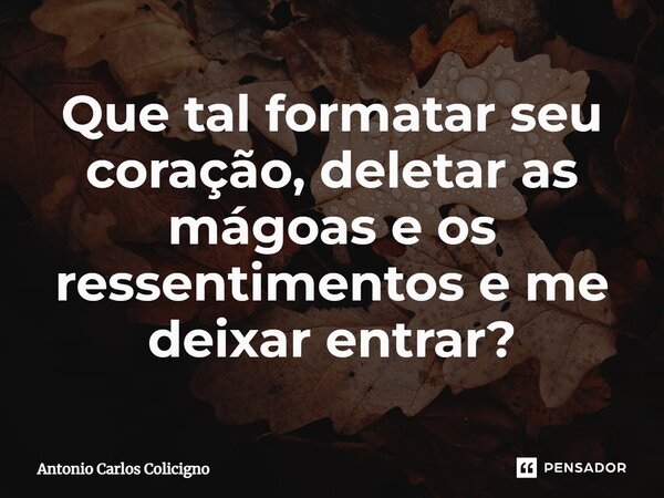 ⁠Que tal formatar seu coração, deletar as mágoas e os ressentimentos e me deixar entrar?... Frase de Antonio Carlos Colicigno.