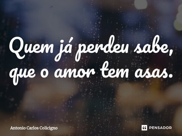 ⁠Quem já perdeu sabe, que o amor tem asas.... Frase de Antonio Carlos Colicigno.