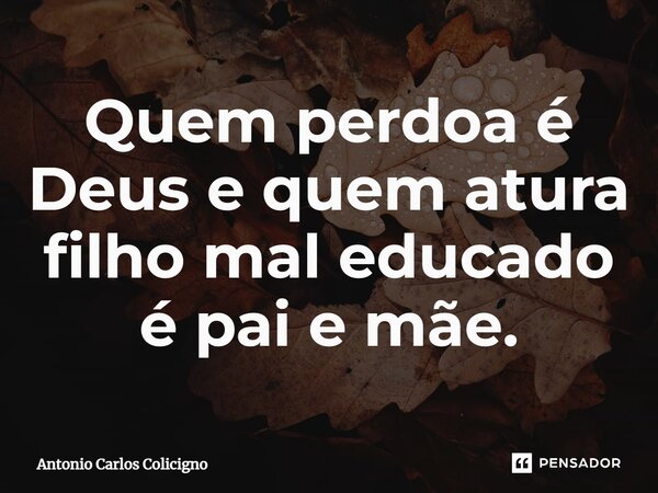 Quem perdoa é Deus e quem atura filho mal-educado é pai e mãe.⁠... Frase de Antonio Carlos Colicigno.