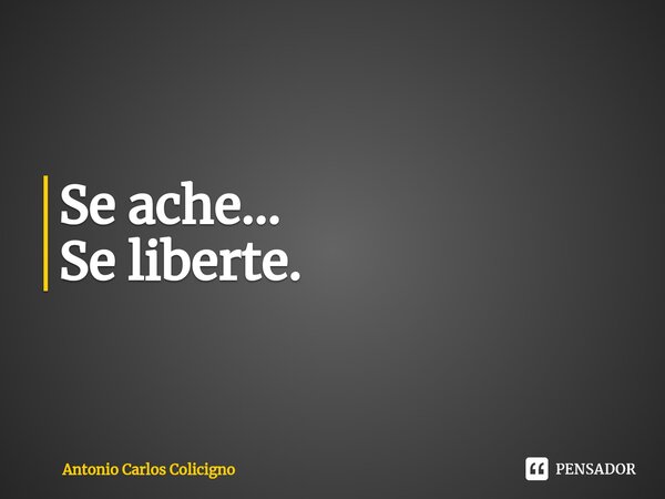 ⁠Se ache... Se liberte.... Frase de Antonio Carlos Colicigno.