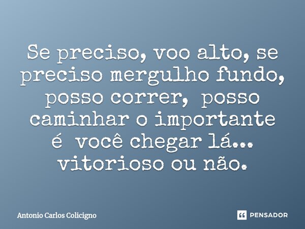 ⁠Se preciso, voo alto, se preciso mergulho fundo, posso correr, posso caminhar o importante é você chegar lá... vitorioso ou não.... Frase de Antonio Carlos Colicigno.