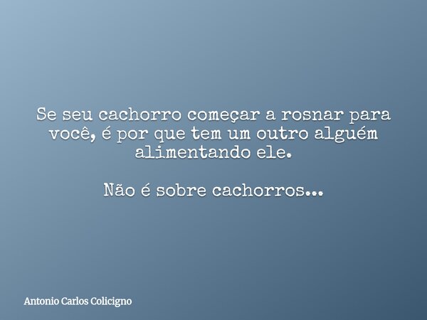 Se seu cachorro começar a rosnar para você, é por que tem um outro alguém alimentando ele. Não é sobre cachorros...... Frase de Antonio Carlos Colicigno.