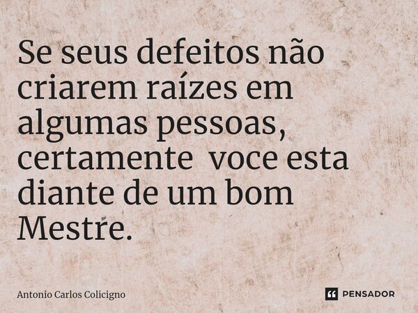 ⁠Se seus defeitos não criarem raízes em algumas pessoas, certamente voce esta diante de um bom Mestre.... Frase de Antonio Carlos Colicigno.