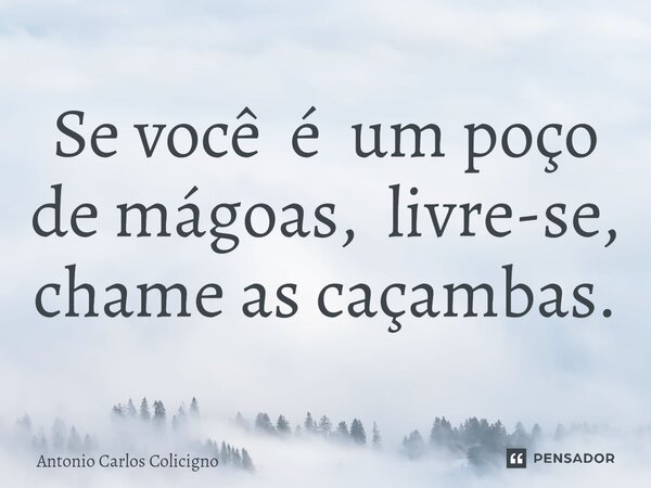 Se você é um poço de mágoas, livre-se, chame as caçambas.⁠... Frase de Antonio Carlos Colicigno.