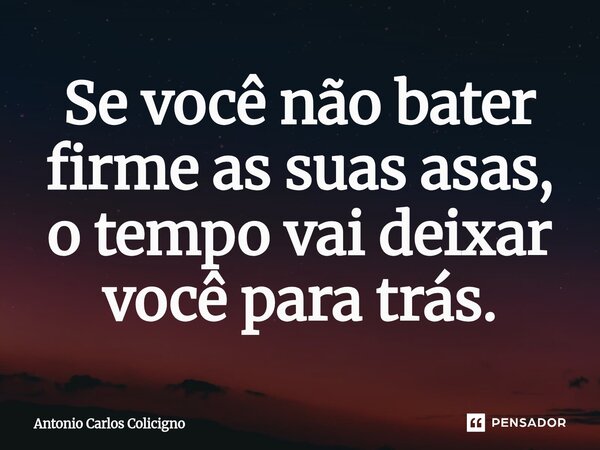 ⁠Se você não bater firme as suas asas, o tempo vai deixar você para trás.... Frase de Antonio Carlos Colicigno.