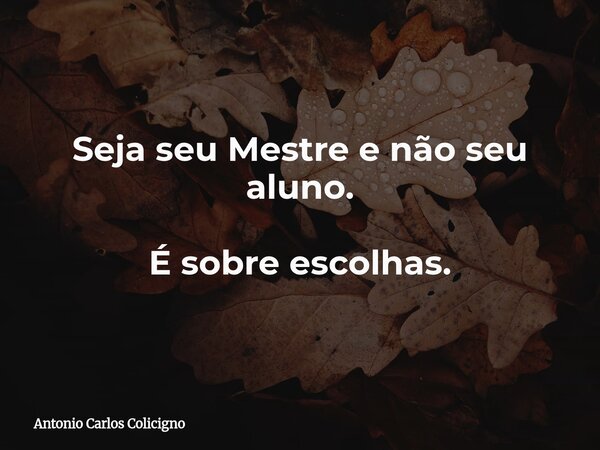 Seja seu Mestre e não seu aluno. É sobre escolhas.... Frase de Antonio Carlos Colicigno.