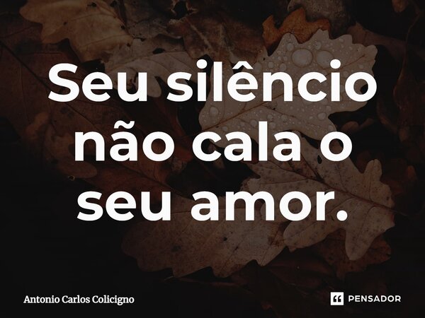 ⁠Seu silêncio não cala o seu amor.... Frase de Antonio Carlos Colicigno.