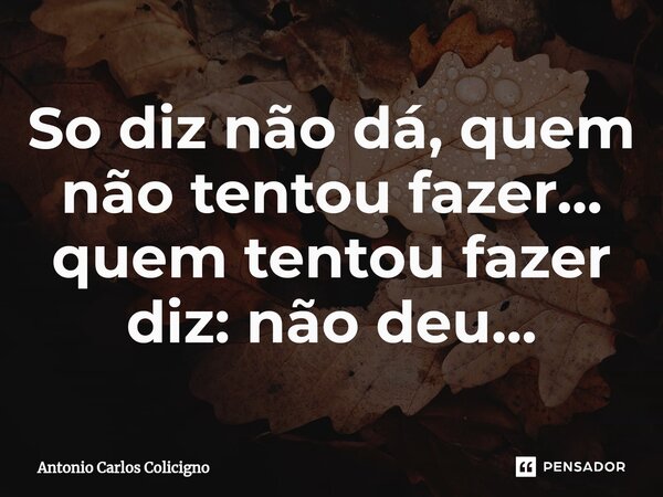 So diz não dá, quem não tentou fazer...⁠ quem tentou fazer diz: não deu...... Frase de Antonio Carlos Colicigno.