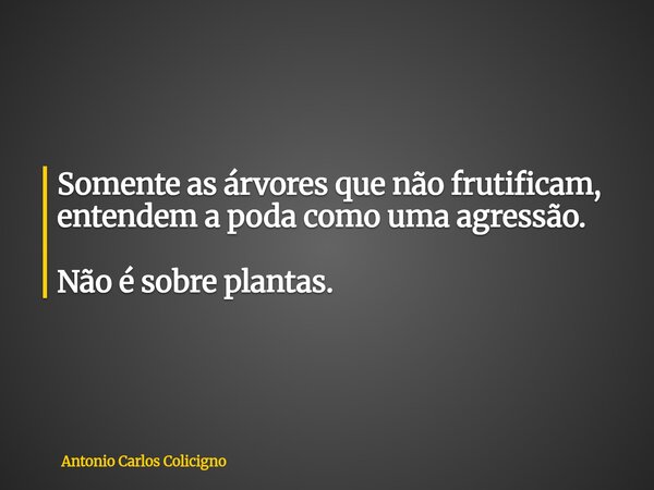 Somente as árvores que não frutificam, entendem a poda como uma agressão. Não é sobre plantas.... Frase de Antonio Carlos Colicigno.