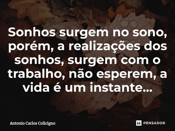 ⁠Sonhos surgem no sono, porém, a realizações dos sonhos, surgem com o trabalho, não esperem, a vida é um instante...... Frase de Antonio Carlos Colicigno.