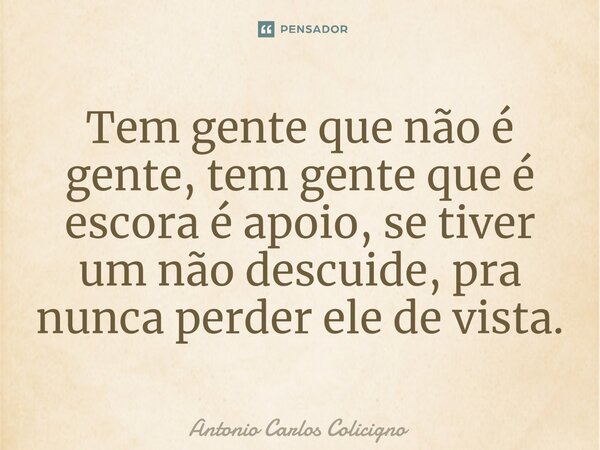 ⁠Tem gente que não é gente, tem gente que é escora é apoio, se tiver um não descuide, pra nunca perder ele de vista.... Frase de Antonio Carlos Colicigno.