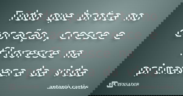 Tudo que brota no coração, cresce e floresce na primavera da vida... Frase de Antonio Carlos.