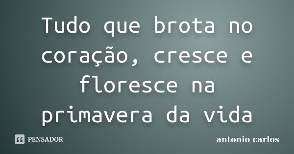 Tudo que brota no coração, cresce e floresce na primavera da vida... Frase de Antonio Carlos.