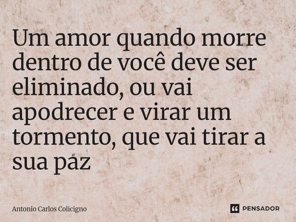 Um amor quando morre dentro de você deve ser eliminado, ou vai apodrecer e virar um tormento, que vai tirar a sua paz ⁠... Frase de Antonio Carlos Colicigno.