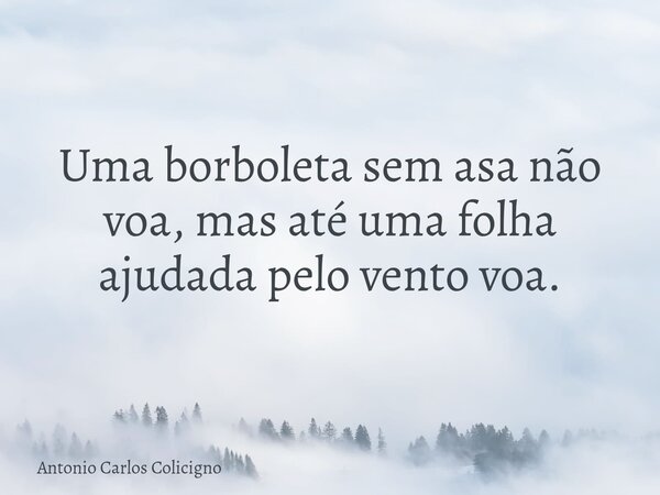 Uma borboleta sem asa não voa, mas até uma folha ajudada pelo vento voa.... Frase de Antonio Carlos Colicigno.