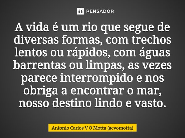⁠A vida é um rio que segue de diversas formas, com trechos lentos ou rápidos, com águas barrentas ou limpas, as vezes parece interrompido e nos obriga a encontr... Frase de Antonio Carlos V O Motta (acvomotta).