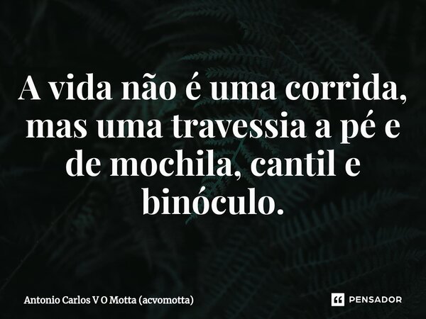 ⁠A vida não é uma corrida, mas uma travessia a pé e de mochila, cantil e binóculo.... Frase de Antonio Carlos V O Motta (acvomotta).