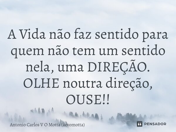 ⁠A Vida não faz sentido para quem não tem um sentido nela, uma DIREÇÃO. OLHE noutra direção, OUSE!!... Frase de Antonio Carlos V O Motta (acvomotta).