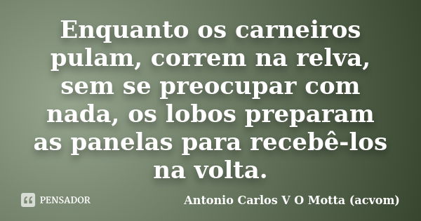 Enquanto os carneiros pulam, correm na relva, sem se preocupar com nada, os lobos preparam as panelas para recebê-los na volta.... Frase de Antonio Carlos V O Motta (acvom).