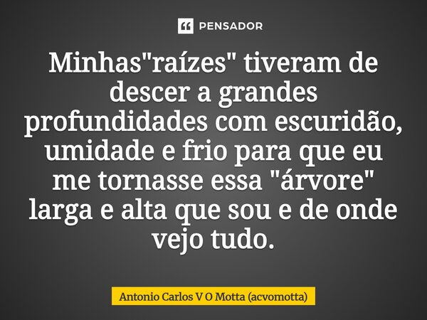 ⁠Minhas "raízes" tiveram de descer a grandes profundidades com escuridão, umidade e frio para que eu me tornasse essa "árvore" larga e alta ... Frase de Antonio Carlos V O Motta (acvomotta).
